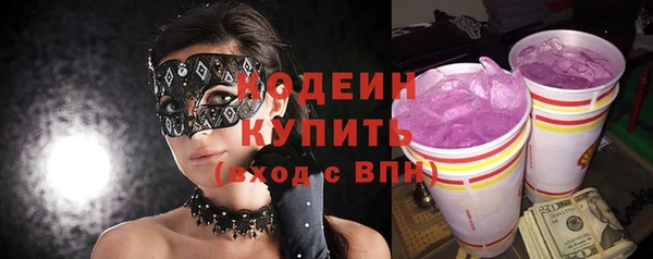 гидра Заводоуковск