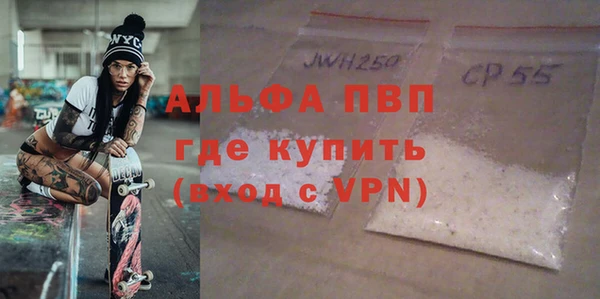 гидра Заводоуковск