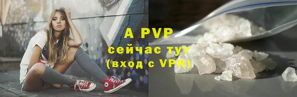гидра Заводоуковск