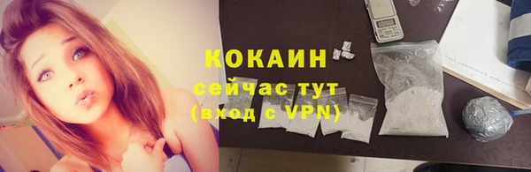 шишки Заволжье