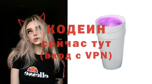 гидра Заводоуковск