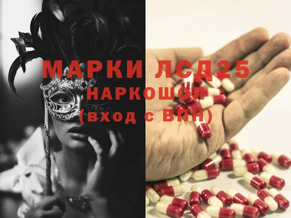 шишки Заволжье