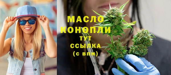 шишки Заволжье