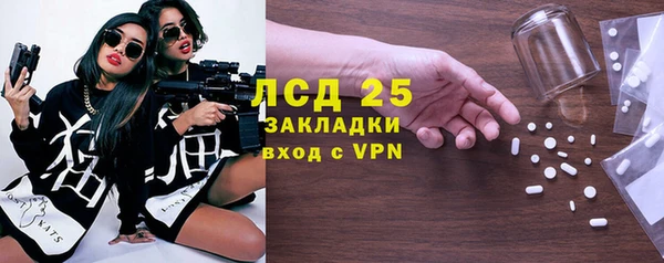 шишки Заволжье
