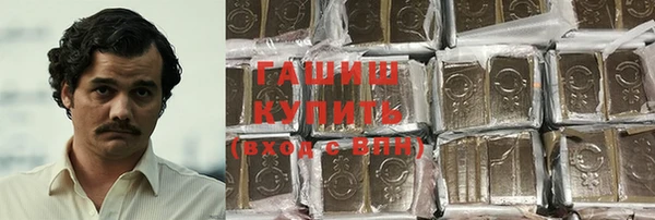 шишки Заволжье