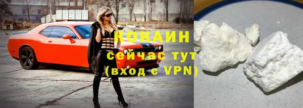 шишки Заволжье