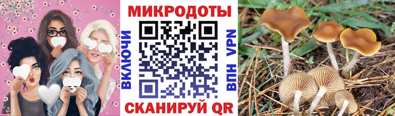 Купить закладки Ливны Псилоцибиновые грибы MAGIC MUSHROOMS